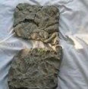 Meet your Posher, Jake